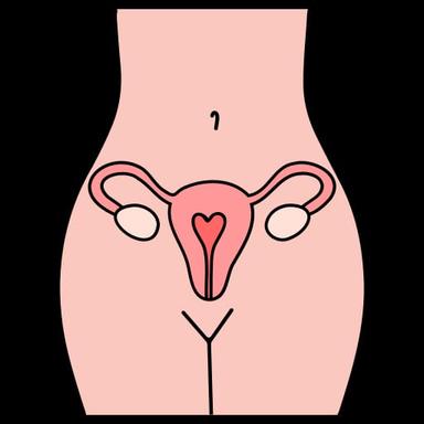 Gynaecologist