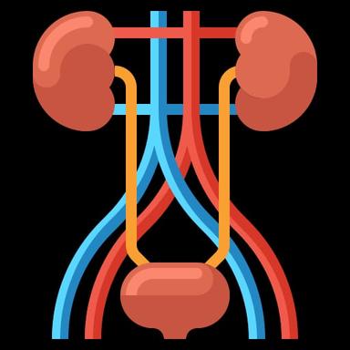 Nephrologist