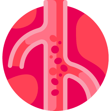 Vascular Surgeon
